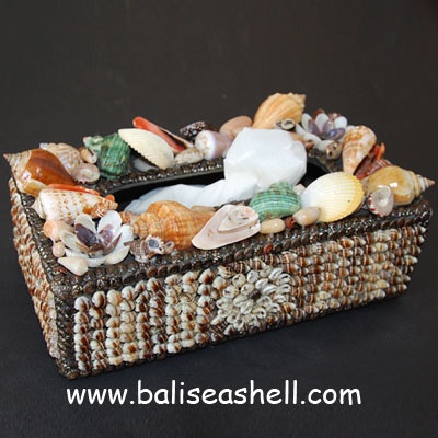 seashell box tisue crafts