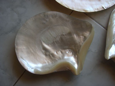 Mother of pearl hold plate