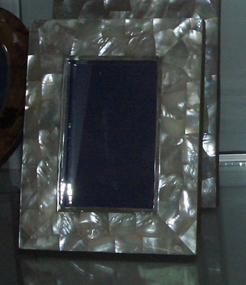 Frame mop shell wit silver