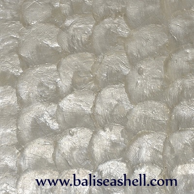 shell capis tile products