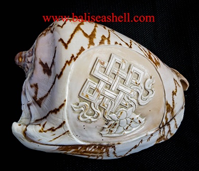 Cymbiola carving Balinese Ornament style
