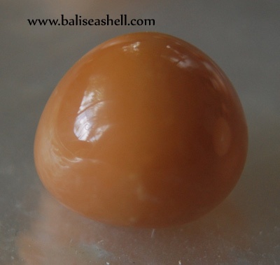 natural pearl from cassidae