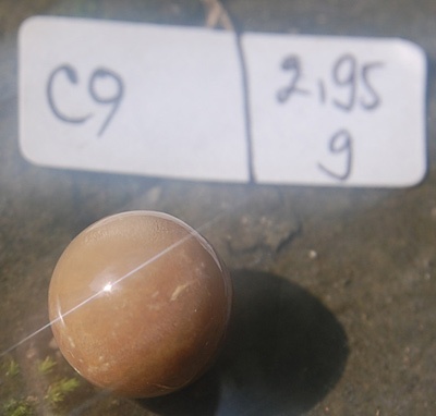nature rare pearl indonesia