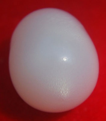 natural pearl from clam shell