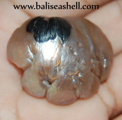 blister mabe pearl