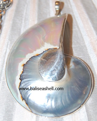 Shell Cut Natural Pearlised