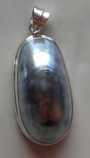 Pendant Nautilus Art Farme Silver