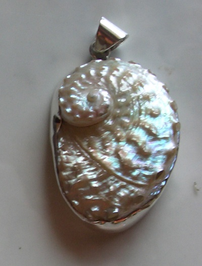 Pendant Abalone White Shell Silver Art
