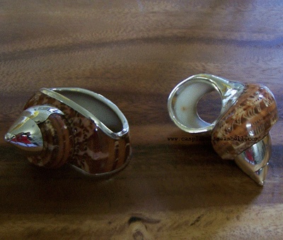 Napkin Ring Turbo Shell